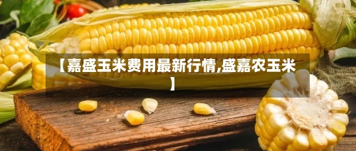 【嘉盛玉米费用最新行情,盛嘉农玉米】-第2张图片