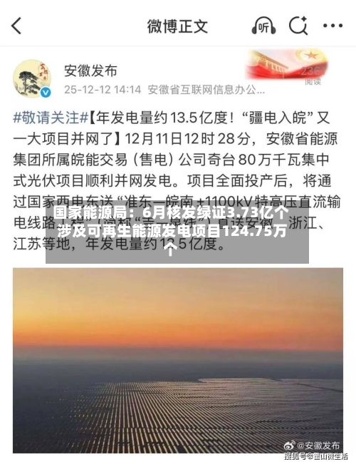 国家能源局：6月核发绿证3.73亿个 涉及可再生能源发电项目124.75万个