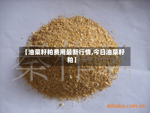【油菜籽粕费用最新行情,今日油菜籽粕】-第3张图片