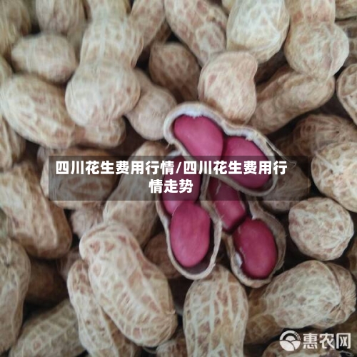 四川花生费用行情/四川花生费用行情走势