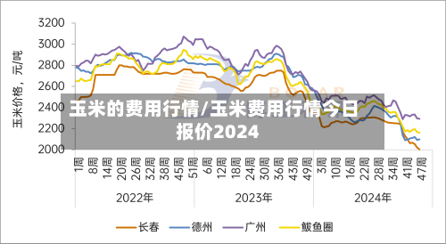 玉米的费用行情/玉米费用行情今日报价2024-第2张图片