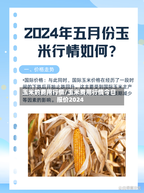 玉米的费用行情/玉米费用行情今日报价2024-第3张图片