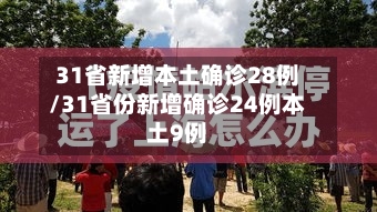 31省新增本土确诊28例/31省份新增确诊24例本土9例