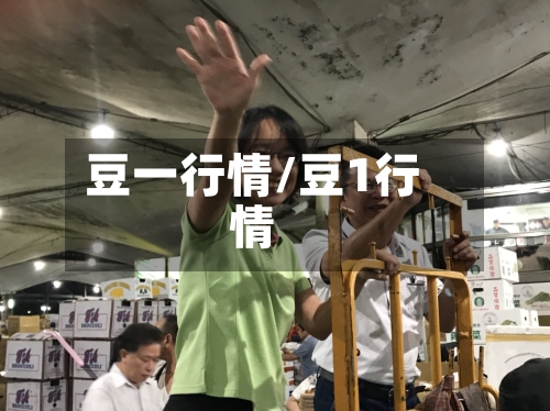 豆一行情/豆1行情