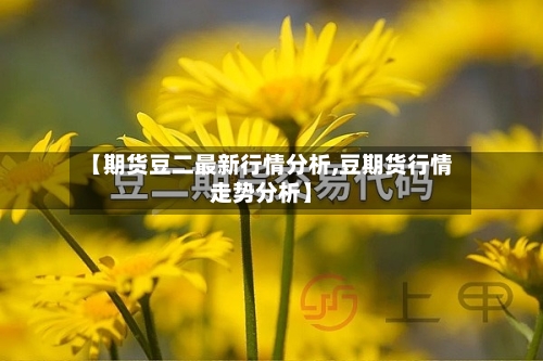 【期货豆二最新行情分析,豆期货行情走势分析】-第3张图片