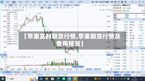 【苹果实时期货行情,苹果期货行情及费用预测】