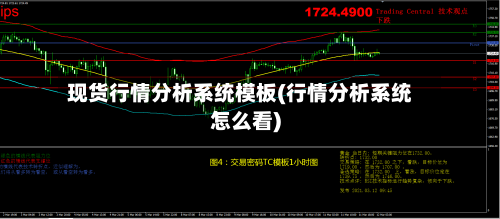 现货行情分析系统模板(行情分析系统怎么看)