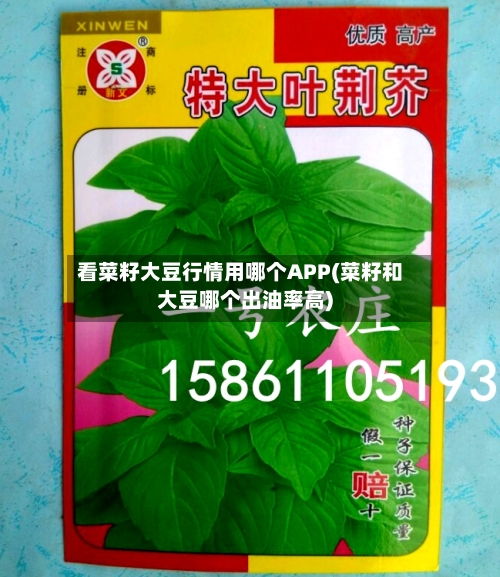 看菜籽大豆行情用哪个APP(菜籽和大豆哪个出油率高)