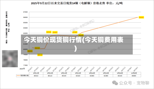 今天铜价现货铜行情(今天铜费用表)
