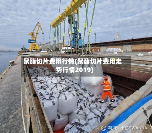 聚脂切片费用行情(聚酯切片费用走势行情2019)-第3张图片