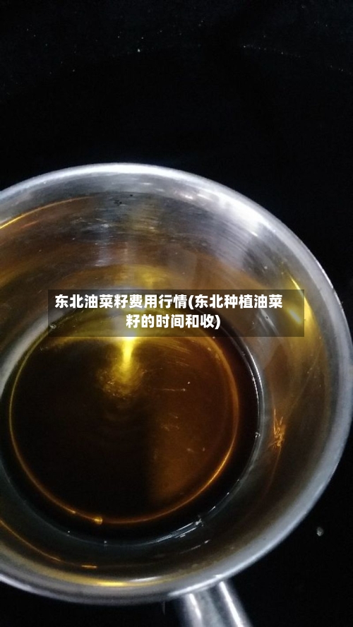 东北油菜籽费用行情(东北种植油菜籽的时间和收)-第2张图片