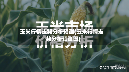 玉米行情走势分析预测(玉米行情走势分析预测图)-第2张图片