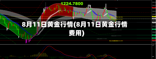 8月11日黄金行情(8月11日黄金行情费用)