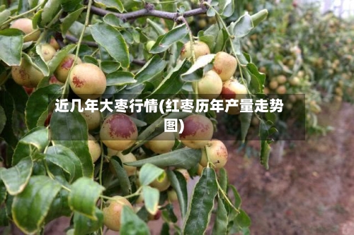 近几年大枣行情(红枣历年产量走势图)-第2张图片