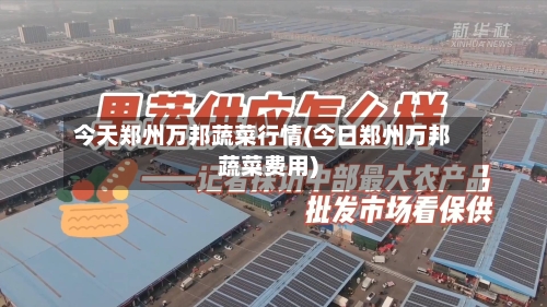 今天郑州万邦蔬菜行情(今日郑州万邦蔬菜费用)