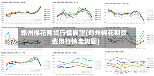 郑州棉花期货行情展望(郑州棉花期货费用行情走势图)