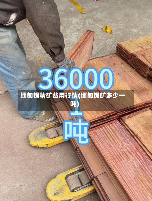 缅甸锡精矿费用行情(缅甸锡矿多少一吨)