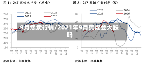 9月焦炭行情/2021年9月焦煤会大跌吗-第2张图片