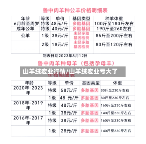 山羊绒宏业行情/山羊绒宏业亏大了