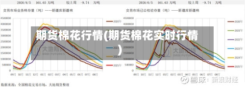 期货棉花行情(期货棉花实时行情)