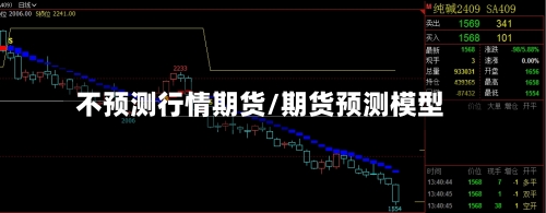 不预测行情期货/期货预测模型