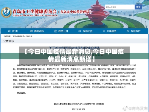 【今日中国疫情最新消息,今日中国疫情最新消息新增】-第2张图片