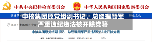 中核集团原党组副书记	、总经理顾军严重违纪违法被开除党籍-第3张图片