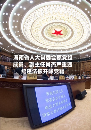 海南省人大常委会原党组成员、副主任肖杰严重违纪违法被开除党籍