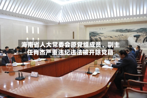 海南省人大常委会原党组成员、副主任肖杰严重违纪违法被开除党籍-第2张图片
