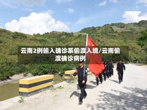 云南2例输入确诊系偷渡入境/云南偷渡确诊病例-第2张图片