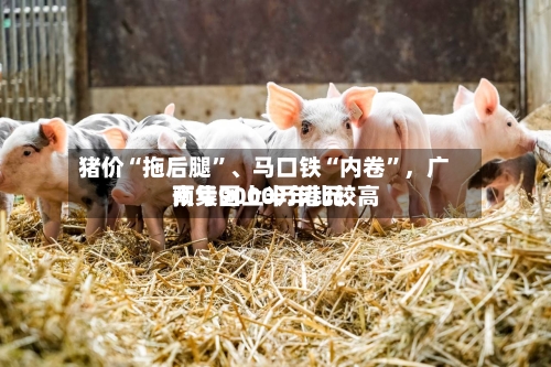 猪价“拖后腿”、马口铁“内卷”，广南集团上半年比较高预亏9000万港元-第3张图片