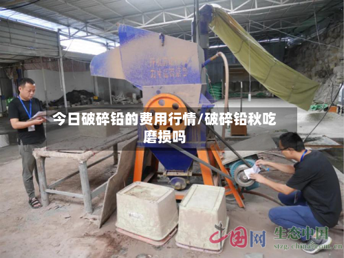 今日破碎铅的费用行情/破碎铅秋吃磨损吗