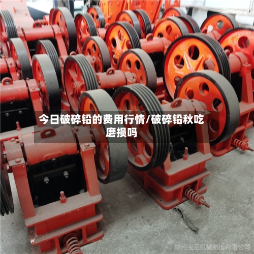 今日破碎铅的费用行情/破碎铅秋吃磨损吗-第3张图片