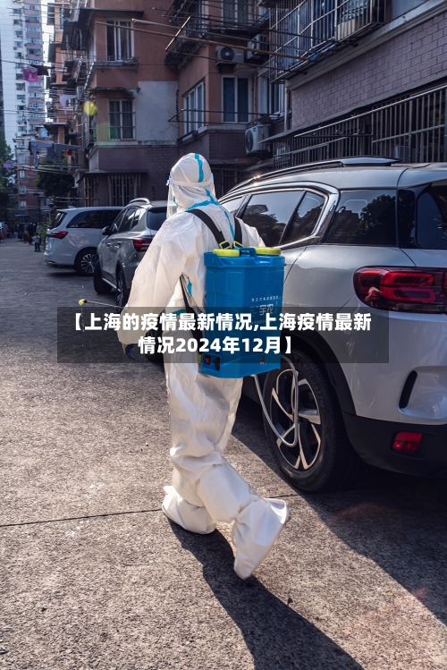【上海的疫情最新情况,上海疫情最新情况2024年12月】