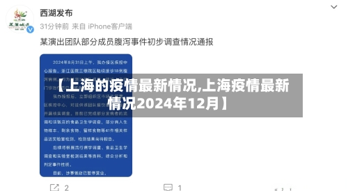 【上海的疫情最新情况,上海疫情最新情况2024年12月】-第2张图片