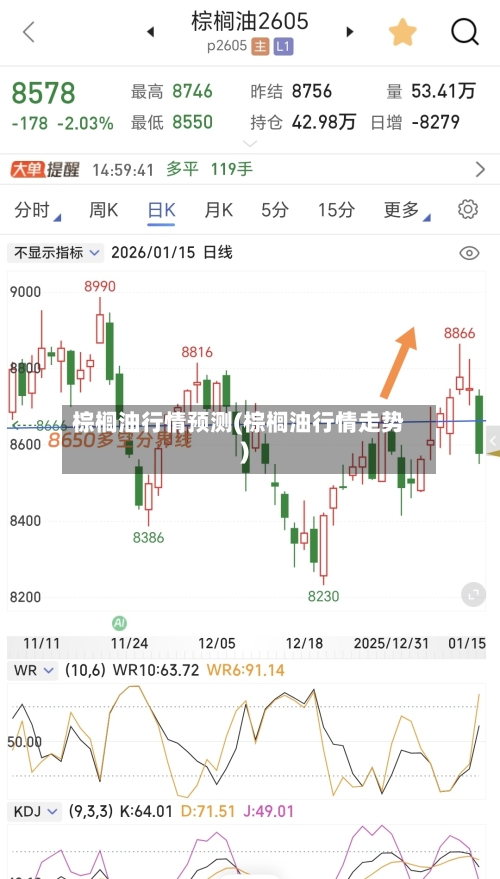 棕榈油行情预测(棕榈油行情走势)