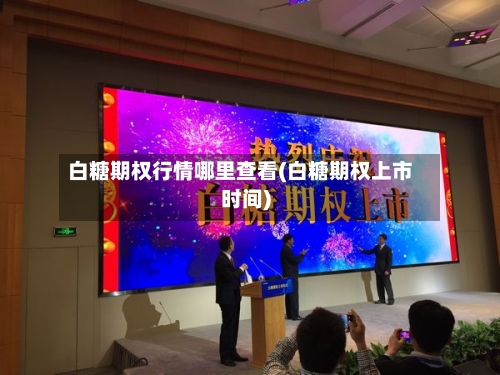 白糖期权行情哪里查看(白糖期权上市时间)-第2张图片