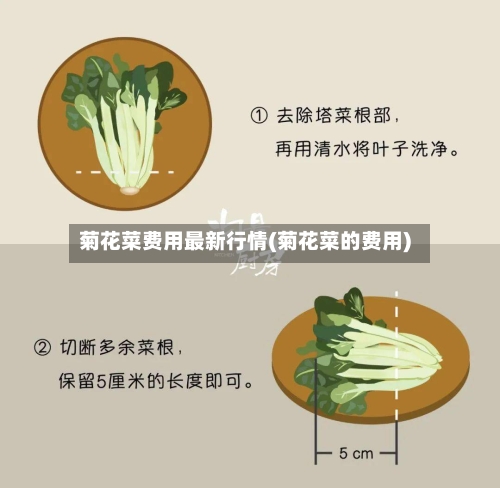 菊花菜费用最新行情(菊花菜的费用)-第2张图片