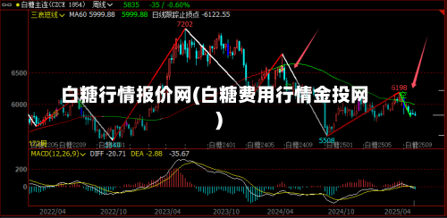 白糖行情报价网(白糖费用行情金投网)
