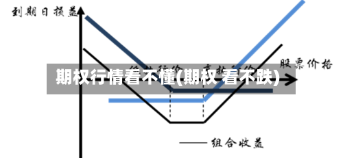 期权行情看不懂(期权 看不跌)-第3张图片