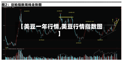 【美豆一年行情,美豆行情指数图】