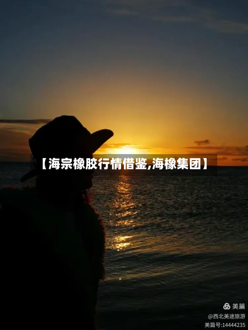 【海宗橡胶行情借鉴,海橡集团】-第3张图片