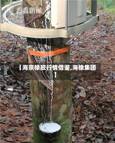 【海宗橡胶行情借鉴,海橡集团】-第2张图片