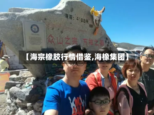 【海宗橡胶行情借鉴,海橡集团】