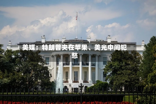 美媒：特朗普夹在苹果、美光中间犯愁-第2张图片