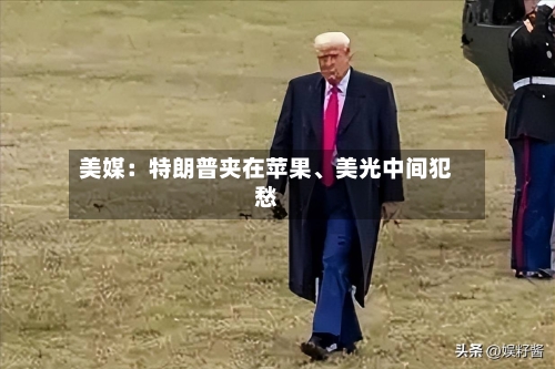 美媒：特朗普夹在苹果	、美光中间犯愁-第3张图片