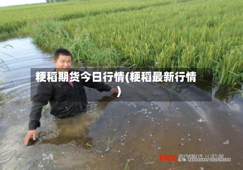 粳稻期货今日行情(粳稻最新行情)-第2张图片