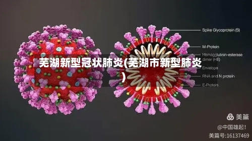 芜湖新型冠状肺炎(芜湖市新型肺炎)