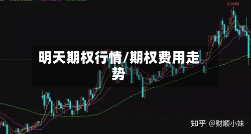 明天期权行情/期权费用走势