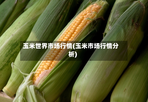 玉米世界市场行情(玉米市场行情分析)